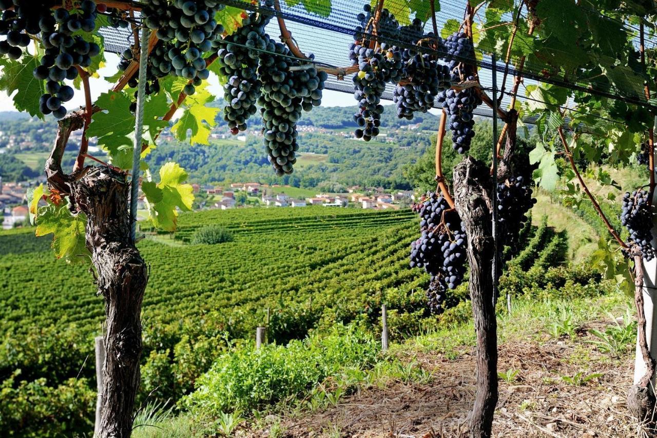 Conca Bella Boutique Hotel & Wine Experience Vacallo المظهر الخارجي الصورة
